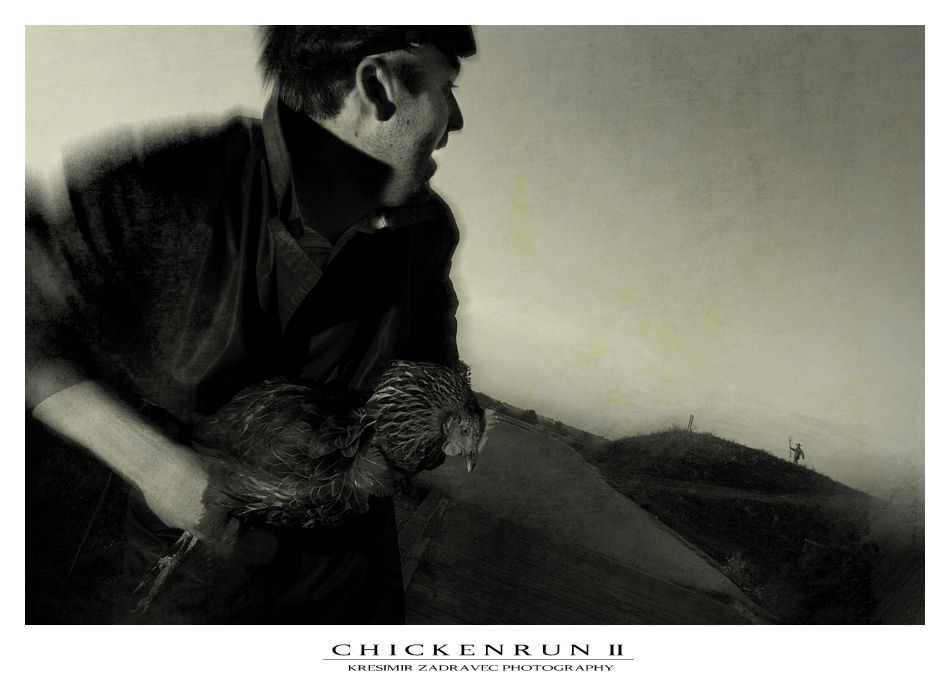 chickenrun2 by chris